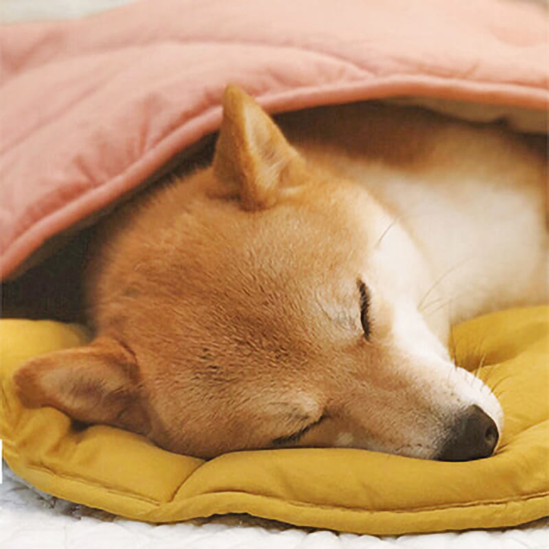 Leaf Luxe Pet Blanket