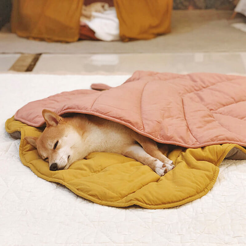Leaf Luxe Pet Blanket Main image
