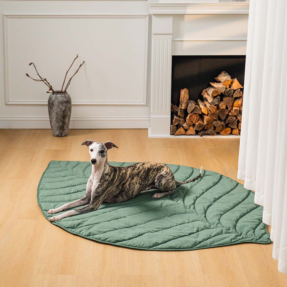 Leaf Luxe Pet Blanket