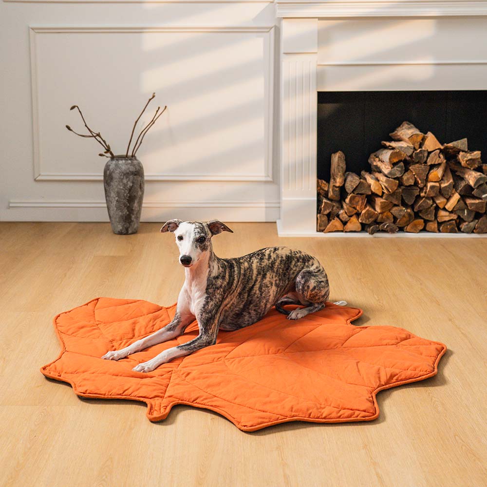 Leaf Luxe Pet Blanket