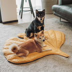 Leaf Luxe Pet Blanket