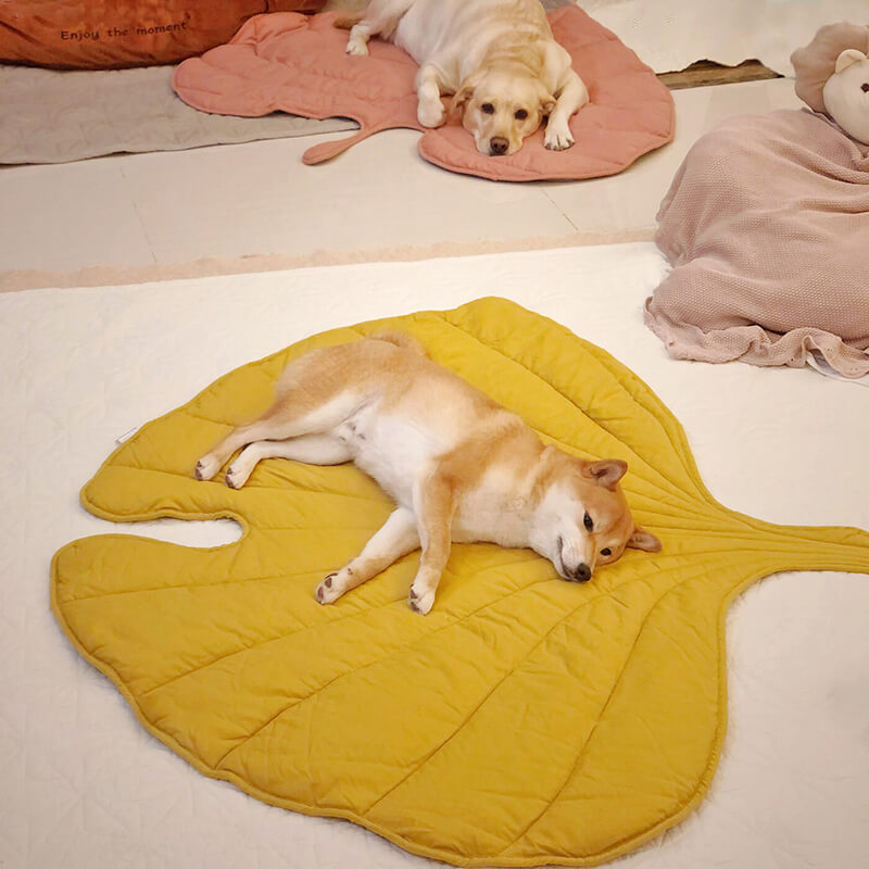 Leaf Luxe Pet Blanket Secondary image