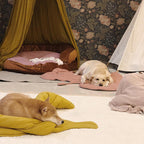 Leaf Luxe Pet Blanket