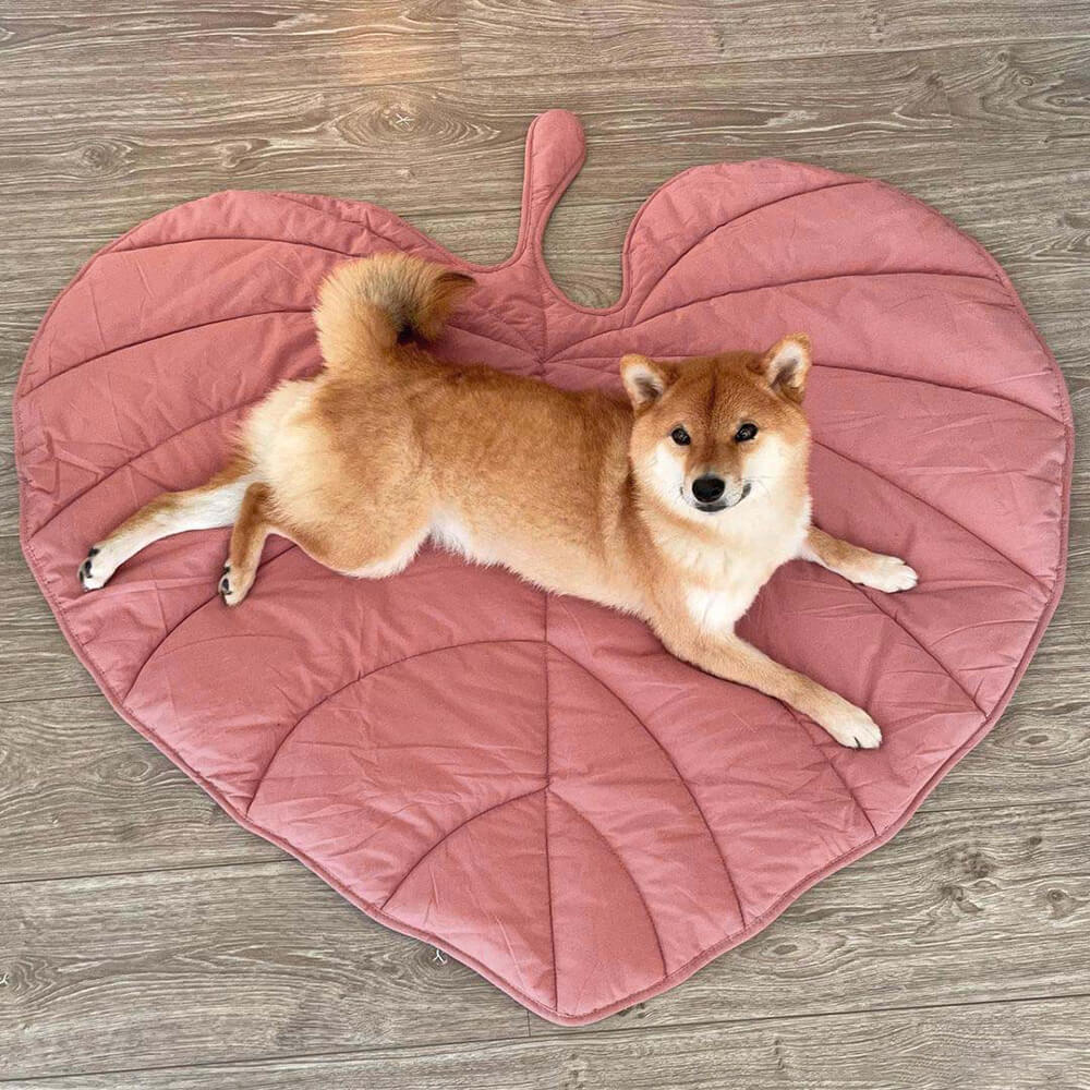 Leaf Luxe Pet Blanket