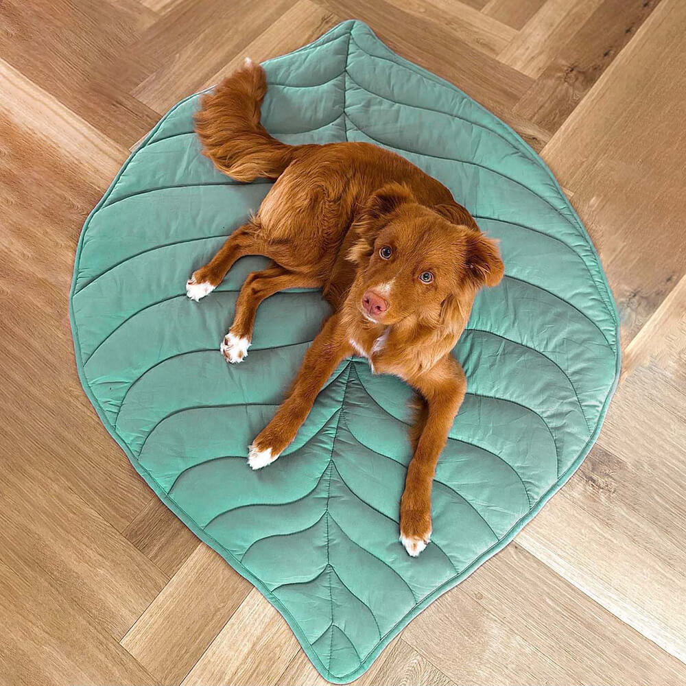 Leaf Luxe Pet Blanket